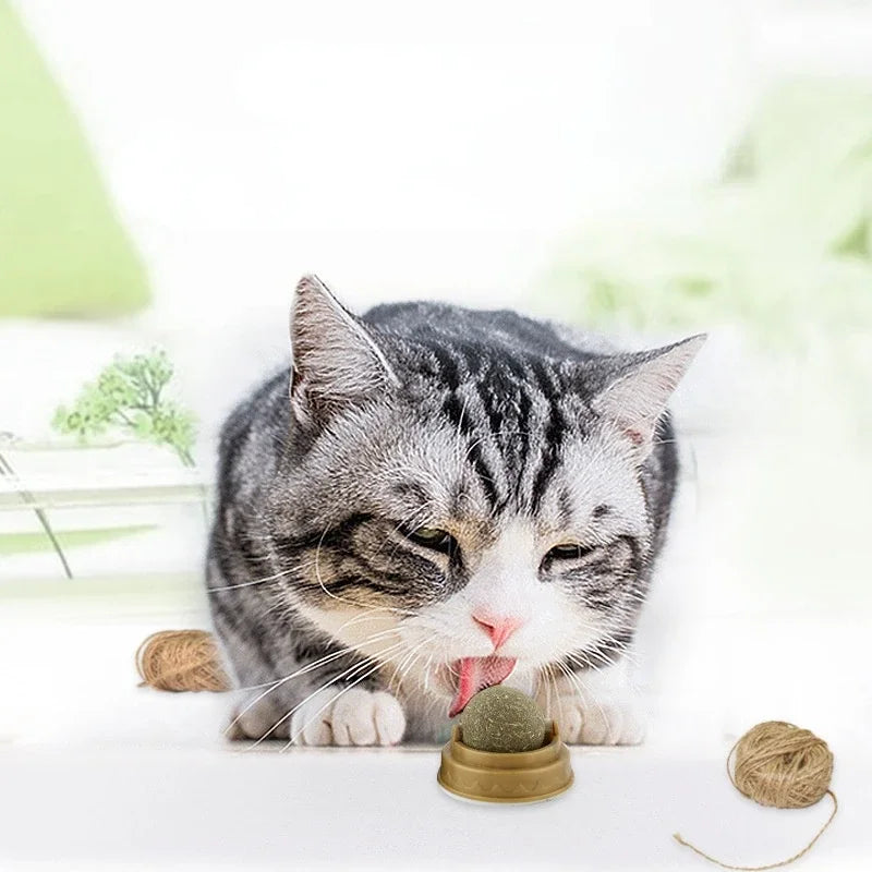 Brinquedo de bola adesiva de parede de catnip natural para gatos, guloseimas para animais de estimação, saudável, remove as bolas de cabelo, promove a digestão, lanche de grama de gato