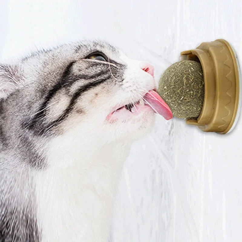 Brinquedo de bola adesiva de parede de catnip natural para gatos, guloseimas para animais de estimação, saudável, remove as bolas de cabelo, promove a digestão, lanche de grama de gato